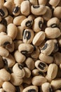 Organic Dry Black Eyed Peas Royalty Free Stock Photo