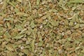 Organic dry green cardamom (Elettaria cardamomum) big cut seeds. Royalty Free Stock Photo
