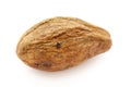 Organic dry Harad (Terminalia chebula). Royalty Free Stock Photo