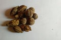 Organic dry Harad (Terminalia chebula).Terminalia Bellerica. Ayurvedic herbal medicine. Royalty Free Stock Photo
