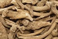 Organic dry Horseradish (Armoracia rusticana) roots. Royalty Free Stock Photo