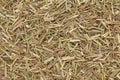 Organic dry lemongrass (Cymbopogon flexuosus) tea cut.