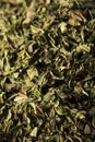 Organic Dry Mint Spice Royalty Free Stock Photo