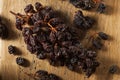 Organic Dry Raisins on the Vine Royalty Free Stock Photo