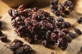 Organic Dry Raisins on the Vine Royalty Free Stock Photo