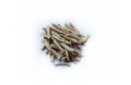 Organic dry shatavari Asparagus racemosus sticks. It used in traditional Indian medicine. The root is used to make medicine.