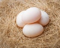 Organic duck eggs Royalty Free Stock Photo