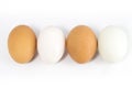 Organic Duck eggs and Chicken eggs Royalty Free Stock Photo