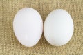 Organic Duck eggs vs Chicken eggs Royalty Free Stock Photo