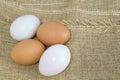 Organic Duck eggs vs Chicken eggs Royalty Free Stock Photo