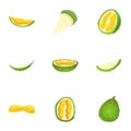 Organic durian icon set, cartoon style Royalty Free Stock Photo