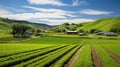 organic earth day farm Royalty Free Stock Photo