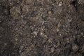 Organic eco manure, fertilizer, close up. The concept of farming, animal husbandry, environmental fertilizer, permaculture. Copy