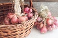 Organic ed onion in a basket on a wooden background Royalty Free Stock Photo