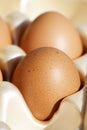 Organic Egg Royalty Free Stock Photo