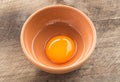 Organic egg Royalty Free Stock Photo