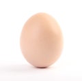 Organic egg Royalty Free Stock Photo