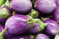 Organic Eggplant