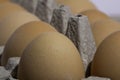 Organic Eggs Royalty Free Stock Photo