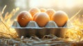 Organic egg in a carton with straw Royalty Free Stock Photo