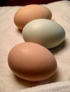 Organic eggs on flour cloth