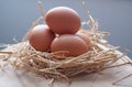 Organic eggs resting in hay sits on a Chopping Wood Royalty Free Stock Photo
