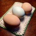 Organic eggs on vintage crocheted pot holder