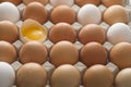 Organic Eggs Royalty Free Stock Photo