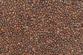 Organic Elaeagnaceae (Hippophae rhamnoides) seeds. Royalty Free Stock Photo