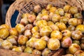 Organic emerald beaut plums in a basket Royalty Free Stock Photo