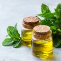 Organic essential mint oil with green leaves