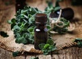 Organic essential oregano oil in a glass jar and a bunch of fresh marjoram, vintage wooden background, selective focus