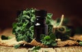 Organic essential oregano oil in a glass jar and a bunch of fresh marjoram, vintage wooden background, selective focus