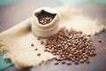 organic fair trade coffee beans spread on a burlap sack Royalty Free Stock Photo