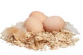 Organic farm fresh eggs Royalty Free Stock Photo