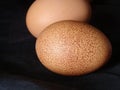 Organic Farm Fresh Eggs Just Collected Royalty Free Stock Photo