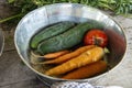 Organic Farm Fresh Food, Vegetables, Garden Royalty Free Stock Photo