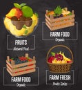 Organic farm fruit concept set