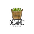 Organic farm logo design. Basket with greens. Green ecology concept