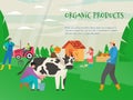 Organic farm product vector illustration, natural agriculture and farming concept. Farmer milks cow. Woman feeds chicken Royalty Free Stock Photo