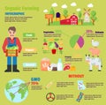Organic farm vector infographic