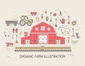 Organic farm in village set and tile in thin lines style design. instruments, flower, vegetables, fruits, hay, farm