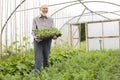 Organic Farmer Holding Tray Of Seedlings