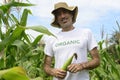 Organic farmer in okra plantation Royalty Free Stock Photo