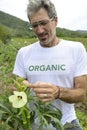 Organic farmer in okra plantation Royalty Free Stock Photo