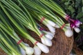 Organic Farmer`s Market Okanagan Valley Royalty Free Stock Photo