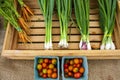 Organic Farmer`s Market Okanagan Valley Royalty Free Stock Photo