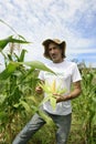 Organic farmer showing corn inside the plantation