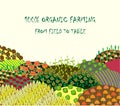 Organic farming background. Frame with plenteous fields landscape