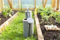 Organic farming, gardening, agriculture concept. watering can in greenhouse. Nature Royalty Free Stock Photo